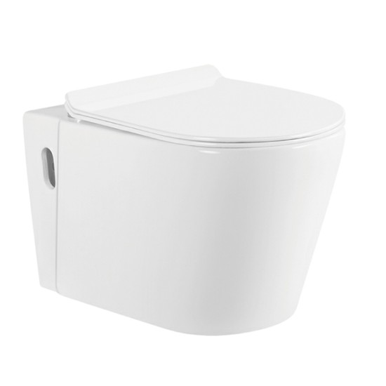Hedge intelligent toilet