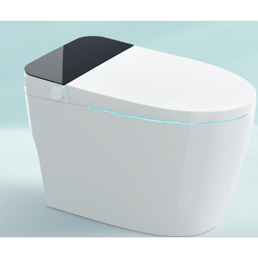 Intelligent toilet